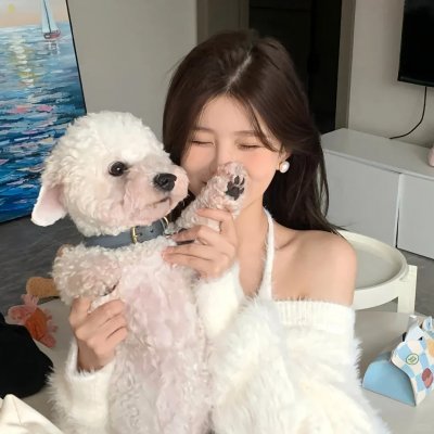 谎话连篇 浪花梦之阵